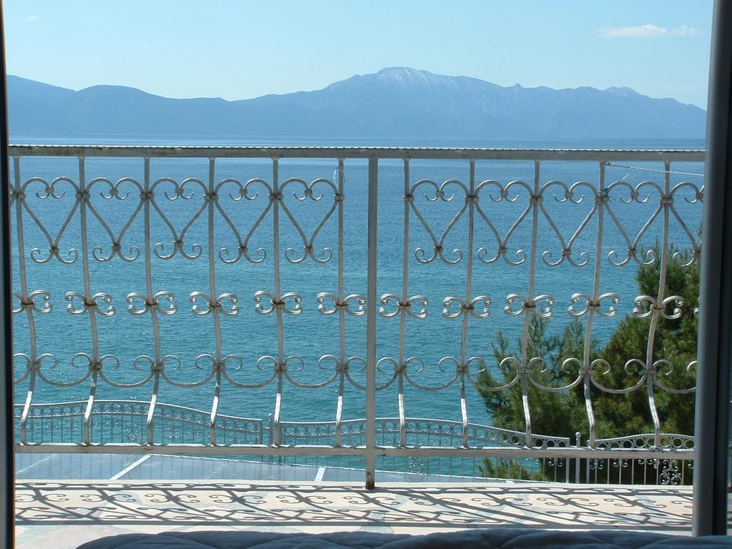 Guesthouse Kod Irene Gradac  Exterior photo